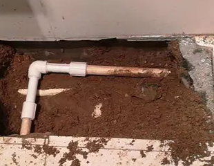 沈阳市测漏水哪家好