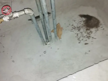 沈阳市卫生间测漏水价格明细